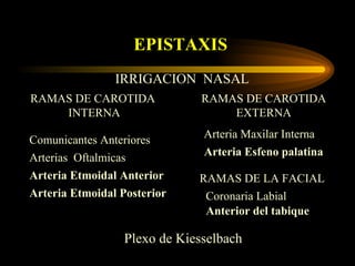 EPISTAXIS
                IRRIGACION NASAL
RAMAS DE CAROTIDA              RAMAS DE CAROTIDA
    INTERNA                        EXTERNA

Comunicantes Anteriores        Arteria Maxilar Interna
Arterias Oftalmicas            Arteria Esfeno palatina
Arteria Etmoidal Anterior     RAMAS DE LA FACIAL
Arteria Etmoidal Posterior     Coronaria Labial
                               Anterior del tabique

                  Plexo de Kiesselbach
 