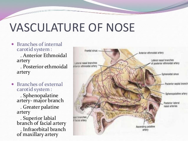 Epistaxis