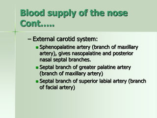 Blood supply of the nose
Cont…..
– External carotid system:
 Sphenopalatine artery (branch of maxillary
artery), gives nasopalatine and posterior
nasal septal branches.
 Septal branch of greater palatine artery
(branch of maxillary artery)
 Septal branch of superior labial artery (branch
of facial artery)
 