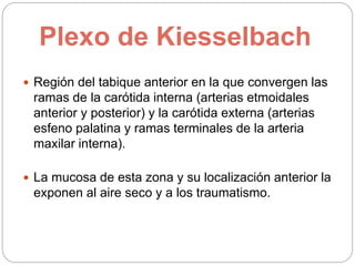 Plexo de Kiesselbach
 Región del tabique anterior en la que convergen las
ramas de la carótida interna (arterias etmoidales
anterior y posterior) y la carótida externa (arterias
esfeno palatina y ramas terminales de la arteria
maxilar interna).
 La mucosa de esta zona y su localización anterior la
exponen al aire seco y a los traumatismo.
 