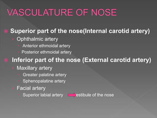  Superior part of the nose(Internal carotid artery)
› Ophthalmic artery
 Anterior ethmoidal artery
 Posterior ethmoidal artery
 Inferior part of the nose (External carotid artery)
› Maxillary artery
 Greater palatine artery
 Sphenopalatine artery
› Facial artery
 Superior labial artery vestibule of the nose
 