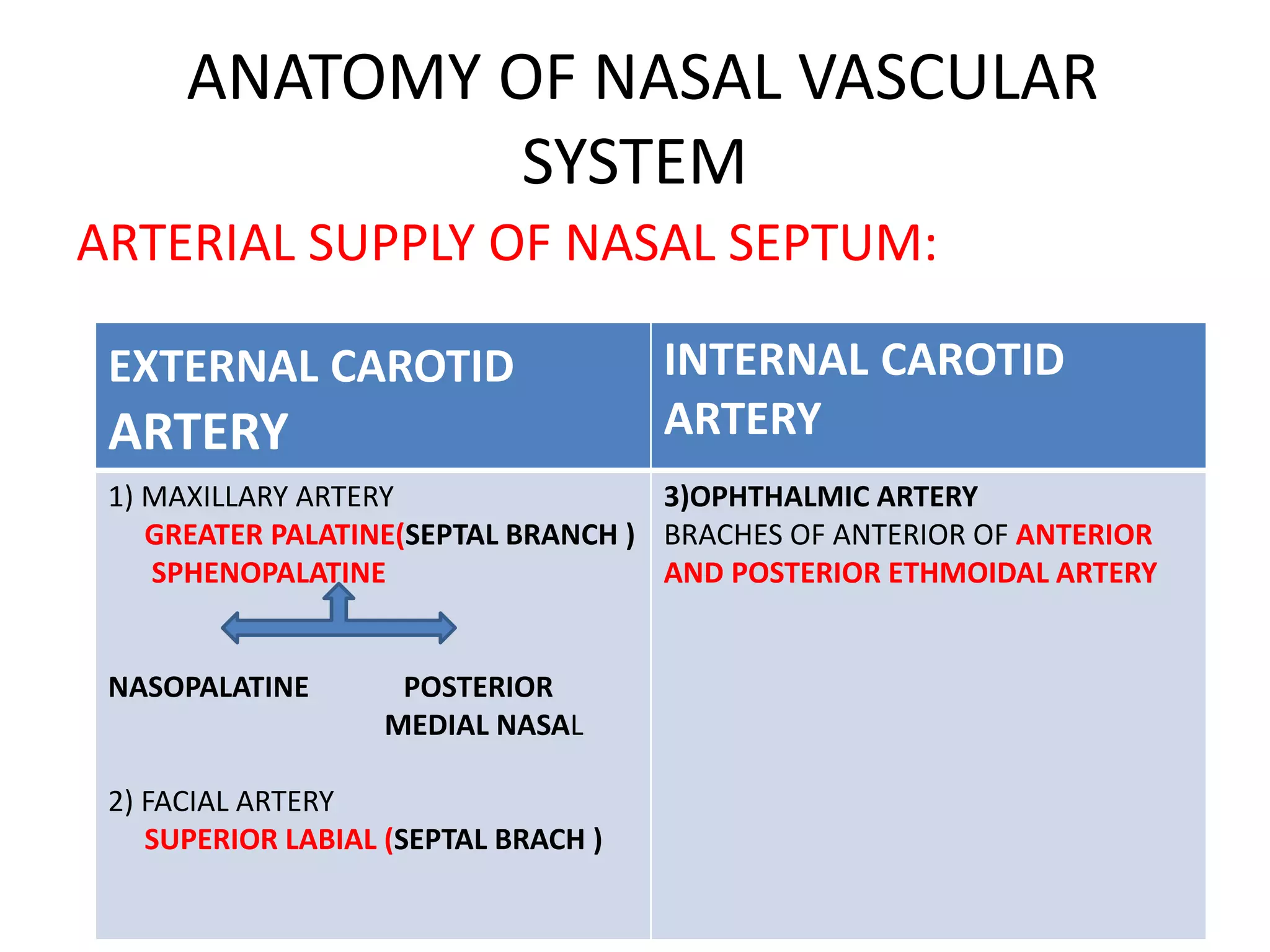 ANATOMY OF NASAL VASCULAR
SYSTEM
ARTERIAL SUPPLY OF NASAL SEPTUM:
EXTERNAL CAROTID
ARTERY
INTERNAL CAROTID
ARTERY
1) MAXILLARY ARTERY
GREATER PALATINE(SEPTAL BRANCH )
SPHENOPALATINE
NASOPALATINE POSTERIOR
MEDIAL NASAL
2) FACIAL ARTERY
SUPERIOR LABIAL (SEPTAL BRACH )
3)OPHTHALMIC ARTERY
BRACHES OF ANTERIOR OF ANTERIOR
AND POSTERIOR ETHMOIDAL ARTERY
 