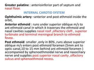 Greater palatine : anterioinferior part of septum and
nasal floor.
INTERNAL CAROTID SYSTEM
Ophthalmic artery –anterior and post ethmoid inside the
orbit,
Anterior ethmoid : runs under superior oblique m/s to
ant ethmoid canal in which it traverses the ethmoid and
nasal cavities supplies nasal roof ,olfactory cleft , superior
turbinate and terminal meningeal branch to ethmoid
fovea .
Post ethmoid: smaller ,only in 80% ,runs above superior
oblique m/s enters post ethmoid foramen (5mm ant to
optic canal,10 to 15 mm behind ant ethmoid foramen )
accompanied by sphenoethmoidal nerve and nasociliary
nerve and supplies post superior nasal cavity ,olfactory
sulcus and sphenoethmoid recess.
 