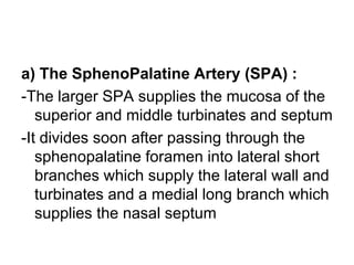 a) The SphenoPalatine Artery (SPA) :
-The larger SPA supplies the mucosa of the
superior and middle turbinates and septum
-It divides soon after passing through the
sphenopalatine foramen into lateral short
branches which supply the lateral wall and
turbinates and a medial long branch which
supplies the nasal septum
 