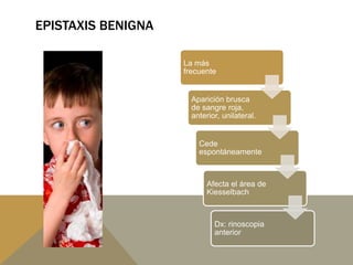 EPISTAXIS BENIGNA
La más
frecuente
Aparición brusca
de sangre roja,
anterior, unilateral.
Cede
espontáneamente
Afecta el área de
Kiesselbach
Dx: rinoscopia
anterior
 