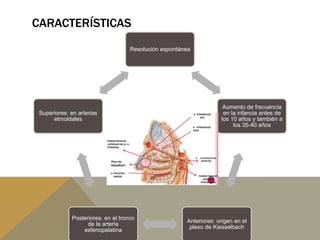 CARACTERÍSTICAS
Resolución espontánea
Aumento de frecuencia
en la infancia antes de
los 10 años y también a
los 35-40 años
Anteriores: origen en el
plexo de Kiesselbach
Posteriores: en el tronco
de la arteria
esfenopalatina
Superiores: en arterias
etmoidales
 