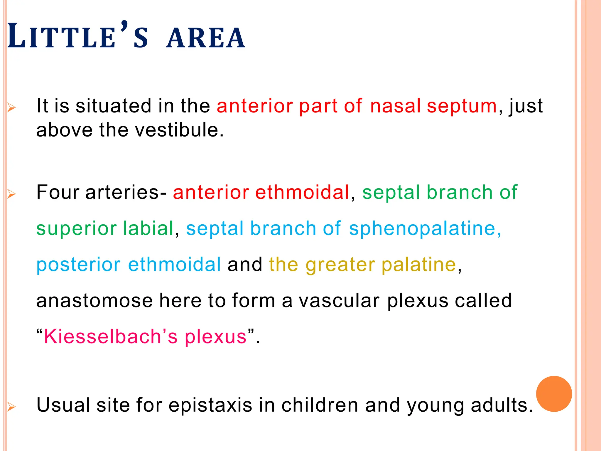 LITTLE’S AREA
 It is situated in the anterior part of nasal septum, just
above the vestibule.
 Four arteries- anterior ethmoidal, septal branch of
superior labial, septal branch of sphenopalatine,
posterior ethmoidal and the greater palatine,
anastomose here to form a vascular plexus called
“Kiesselbach’s plexus”.
 Usual site for epistaxis in children and young adults.
 