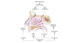 EPISTAXIS for ent post graduates simple.pptx