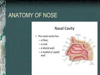 ANATOMY OF NOSE
 