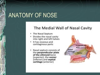 ANATOMY OF NOSE
 