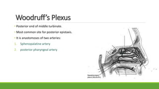 Woodruff’s Plexus
• Posterior end of middle turbinate.
• Most common site for posterior epistaxis.
• It is anastomoses of two arteries:
1. Sphenopalatine artery
2. posterior pharyngeal artery
 