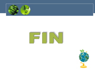 FIN 