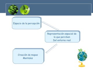 Espacio de la percepción Representación espacial de  lo que perciben  Del entorno real  Creación de mapas  Mentales  
