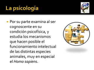    Por su parte examina al ser
    cognoscente en su
    condición psicofísica, y
    estudia los mecanismos
    que hacen posible el
    funcionamiento intelectual
    de las distintas especies
    animales, muy en especial
    el Homo sapiens.
 