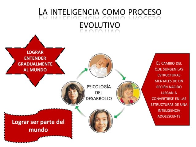Epistemología genética PPT