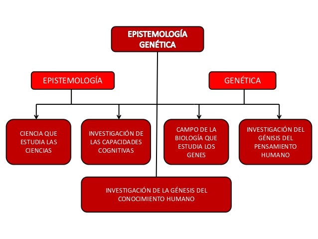 El Metodo Psicogenetico Y La Epistemologia Genetica es.slideshare.net