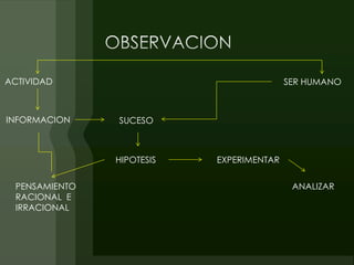 ACTIVIDAD                                  SER HUMANO



INFORMACION     SUCESO



                HIPOTESIS   EXPERIMENTAR


  PENSAMIENTO                               ANALIZAR
  RACIONAL E
  IRRACIONAL
 