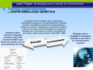 Jean Piaget:  da Biologia para o estudo do conhecimento Enquanto Darwin considera  que os organismos, essencialmente passivos, são dependentes de mutações fortuitas e da seleção natural para se desenvolverem, Piaget, ao contrário, a adaptação é um processo dinâmico e contínuo no qual a estrutura hereditária do organismo interage com o meio externo de modo a reconstituir-se, com vistas a melhor sobrevivência. (PAULASKI, 1986) Estudos sobre Limnaca stagnalis , revelaram que este caracol modifica sua forma de acordo com as características do meio. 3.3.  3.  Teorias experimentais Relação entre a inteligência biológica  (plantas e animais) e ao conhecimento humano 
