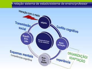 A relação sistema de estado/sistema de ensino/professor 