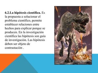 6.2.La hipótesis científica. Es
la propuesta a solucionar el
problema científico, permite
establecer relaciones entre
hechos para explicar porque se
producen. En la investigación
científica las hipótesis son guía
de investigación. Las hipótesis
deben ser objeto de
contrastación .
 