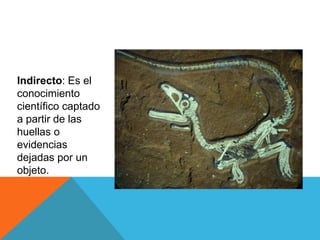 Indirecto: Es el
conocimiento
científico captado
a partir de las
huellas o
evidencias
dejadas por un
objeto.
 