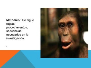Metódico: Se sigue
reglas,
procedimientos,
secuencias
necesarias en la
investigación.
.
 