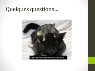 Quelques questions…
Osez explorer les terrains inconnus
 