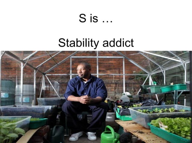 DISC Personality Model | PDF | Science