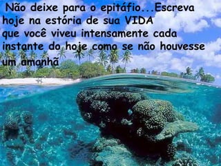 Não deixe para o epitáfio...Escreva hoje na estória de sua VIDA que você viveu intensamente cada instante do hoje como se não houvesse um amanhã   