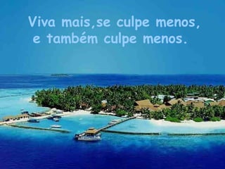 Viva mais,se culpe menos, e também culpe menos.   
