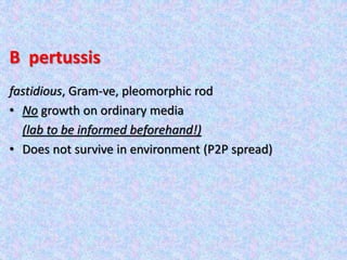 B pertussis
fastidious, Gram-ve, pleomorphic rod
• No growth on ordinary media
(lab to be informed beforehand!)
• Does not survive in environment (P2P spread)
 