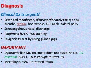 Diagnosis
Clinical Dx is urgent!
• Extended membrane, disproportionately toxic; noisy
breaths, stridor, hoarseness, bull neck, palatal palsy
• Serosanguinous nasal discharge
• Confirmed by CS, FAB staining
• Toxigenicity test by using guinea pigs
IMPORTANT!
• Diphtheria like MO on smear does not establish Dx. CS
essential. But Cl. Dx is enough to start Rx
• Mortality is ~5%. Untreated ~50%
 