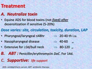 Treatment
A. Neutralize toxin
• Equine ADS for blood toxins (not fixed) after
desensitization if sensitive (5-20%)
Dose varies: site, circulation, toxicity, duration, LAP
• Pharyngeal/laryngeal ≤48hr  20-40 th i.u.
• Nasopharyngeal disease  40-60 ,,
• Extensive for 3d/bull neck  80-120 ,,
B. ABT : Penicillin/erythromycin DoC. For 14d.
C. Supportive: life support
ADS: antidiphtheric serum. ABT: antibiotic therapy
 