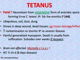 TETANUS
• Fatal ! Neurotoxin from vegetative form of anerobic spore
forming G+ve C. tetani. IP: 3d–3w-months (~14d)
• Ubiquitous; soil, dust, dung
• Grows in deep wound, dead tissues; no tissue damage/inflam
•  contamination  shorter IP  severer disease
• Painful generalized myospasm. Death is usually from
suffocation. Subsides over weeks if recovers
• Brain not affected. Mentally c l e a r !
• NT: 5-14 d (8 days disease)
NT: neonatal tetanus
 