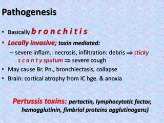 Pathogenesis
• Basically b r o n c h i t i s
• Locally invasive; toxin mediated:
– severe inflam.: necrosis, infiltration: debris  sticky
s c a n t y sputum  severe cough
• May cause Br. Pn., bronchiectasis, collapse
• Brain: cortical atrophy from IC hge. & anoxia
Pertussis toxins: pertactin, lymphocytotic factor,
hemagglutinin, fimbrial proteins agglutinogens)
 