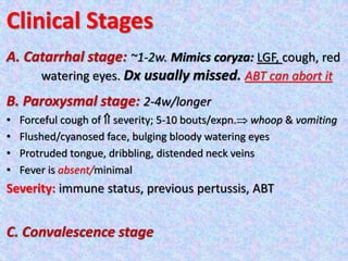 Clinical Stages
A. Catarrhal stage: ~1-2w. Mimics coryza: LGF, cough, red
watering eyes. Dx usually missed. ABT can abort it
B. Paroxysmal stage: 2-4w/longer
• Forceful cough of  severity; 5-10 bouts/expn. whoop & vomiting
• Flushed/cyanosed face, bulging bloody watering eyes
• Protruded tongue, dribbling, distended neck veins
• Fever is absent/minimal
Severity: immune status, previous pertussis, ABT
C. Convalescence stage
 