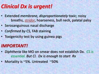 Clinical Dx is urgent!
• Extended membrane, disproportionately toxic; noisy
breaths, stridor, hoarseness, bull neck, palatal palsy
• Serosanguinous nasal discharge
• Confirmed by CS, FAB staining
• Toxigenicity test by using guinea pigs
IMPORTANT!
• Diphtheria like MO on smear does not establish Dx. CS is
essential. But Cl. Dx is enough to start Rx
• Mortality is ~5%. Untreated ~50%
 