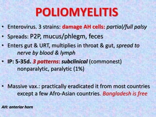 POLIOMYELITIS
• Enterovirus. 3 strains: damage AH cells: partial/full palsy
• Spreads: P2P, mucus/phlegm, feces
• Enters gut & URT, multiplies in throat & gut, spread to
nerve by blood & lymph
• IP: 5-35d. 3 patterns: subclinical (commonest)
nonparalytic, paralytic (1%)
• Massive vax.: practically eradicated it from most countries
except a few Afro-Asian countries. Bangladesh is free
AH: anterior horn
 