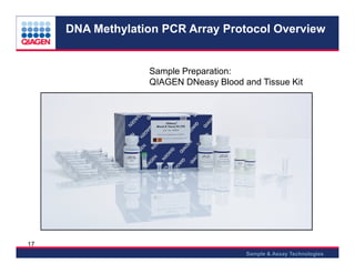 Epi tect methylation qpcr arrays 2013 | PDF