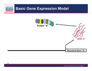 Epi tect methylation qpcr arrays 2013 | PDF