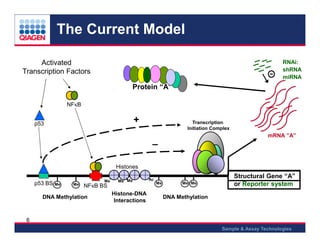 Epi tect methylation qpcr arrays 2013 | PDF