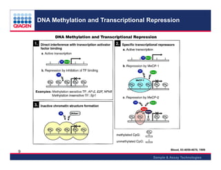 Epi tect methylation qpcr arrays 2013 | PDF