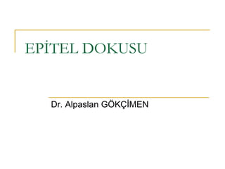 EPİTEL DOKUSU


  Dr. Alpaslan GÖKÇİMEN
 