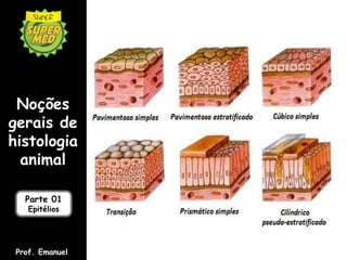 Noções
gerais de
histologia
  animal

   Parte 01
    Epitélios




 Prof. Emanuel
 