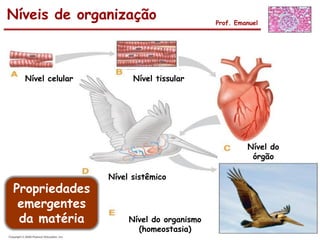 Níveis de organização                       Prof. Emanuel




  Nível celular         Nível tissular




                                                     Nível do
                                                      órgão

                  Nível sistêmico
Propriedades
 emergentes
 da matéria            Nível do organismo
                         (homeostasia)
 