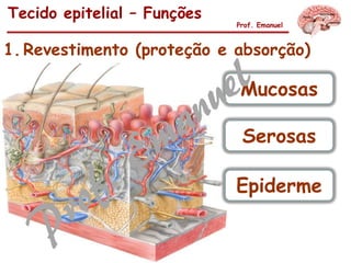 1.Revestimento (proteção e absorção)
Tecido epitelial – Funções
Prof. Emanuel
Mucosas
Serosas
Epiderme
 