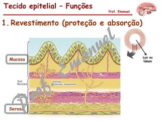 1.Revestimento (proteção e absorção)
Tecido epitelial – Funções
Prof. Emanuel
Mucosa
Serosa
Luz ou
lúmen
 