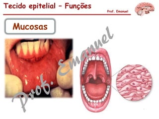 Tecido epitelial – Funções
Prof. Emanuel
Mucosas
 