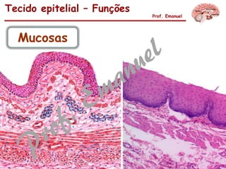 Tecido epitelial – Funções
Prof. Emanuel
Mucosas
 