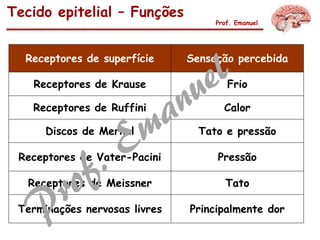 Tecido epitelial – Funções
Prof. Emanuel
Receptores de superfície Sensação percebida
Receptores de Krause Frio
Receptores de Ruffini Calor
Discos de Merkel Tato e pressão
Receptores de Vater-Pacini Pressão
Receptores de Meissner Tato
Terminações nervosas livres Principalmente dor
 